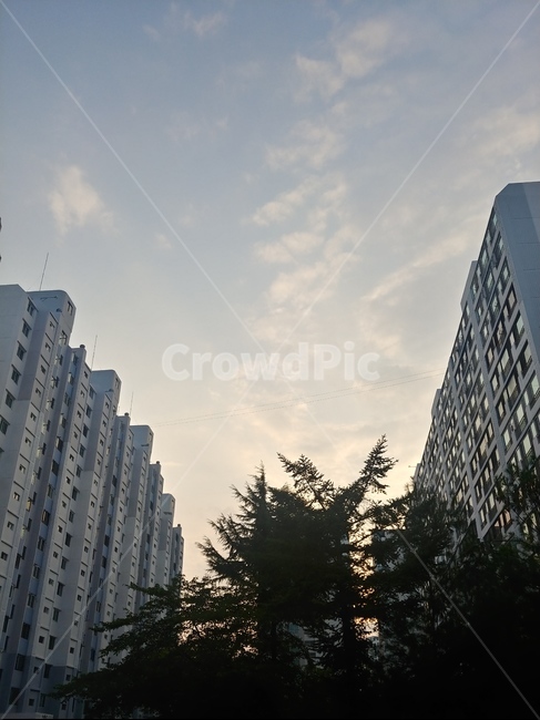 아파트,하늘,노을,초저녁,구름,퇴근,감성,urban,어반,building,건물,도시,풍경,city,landscape,office building,사무실 건물,high rise,고층 건물,시티,town,tree,나무,plant,식물,fir,전나무