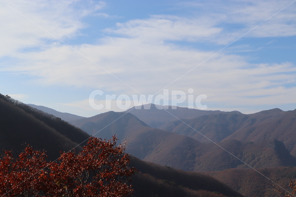 산,단풍,정상,봉우리,등산,고요