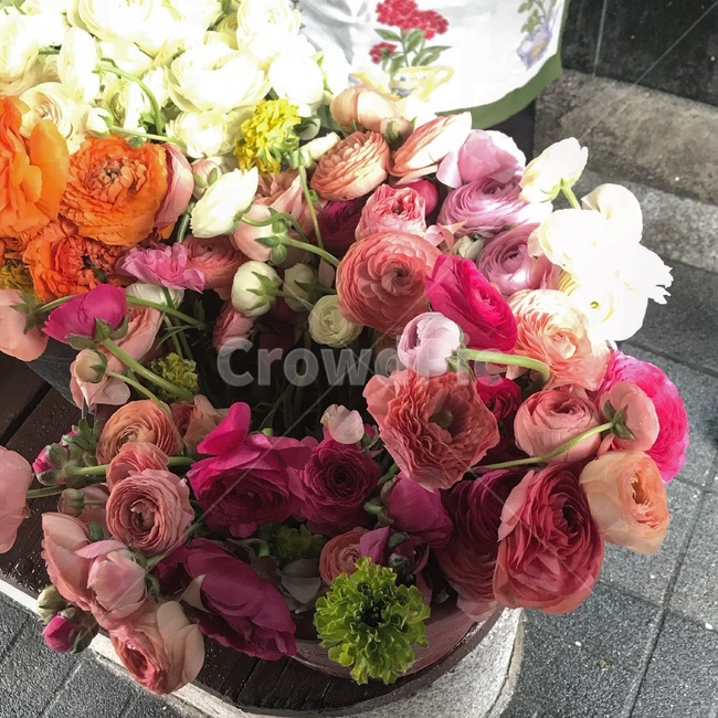 꽃,flower,라넌큘러스,핑크,자주,핫핑크,주황,화이트,꽃다발,분홍,식물,자연,plants,nature,꽃,flower