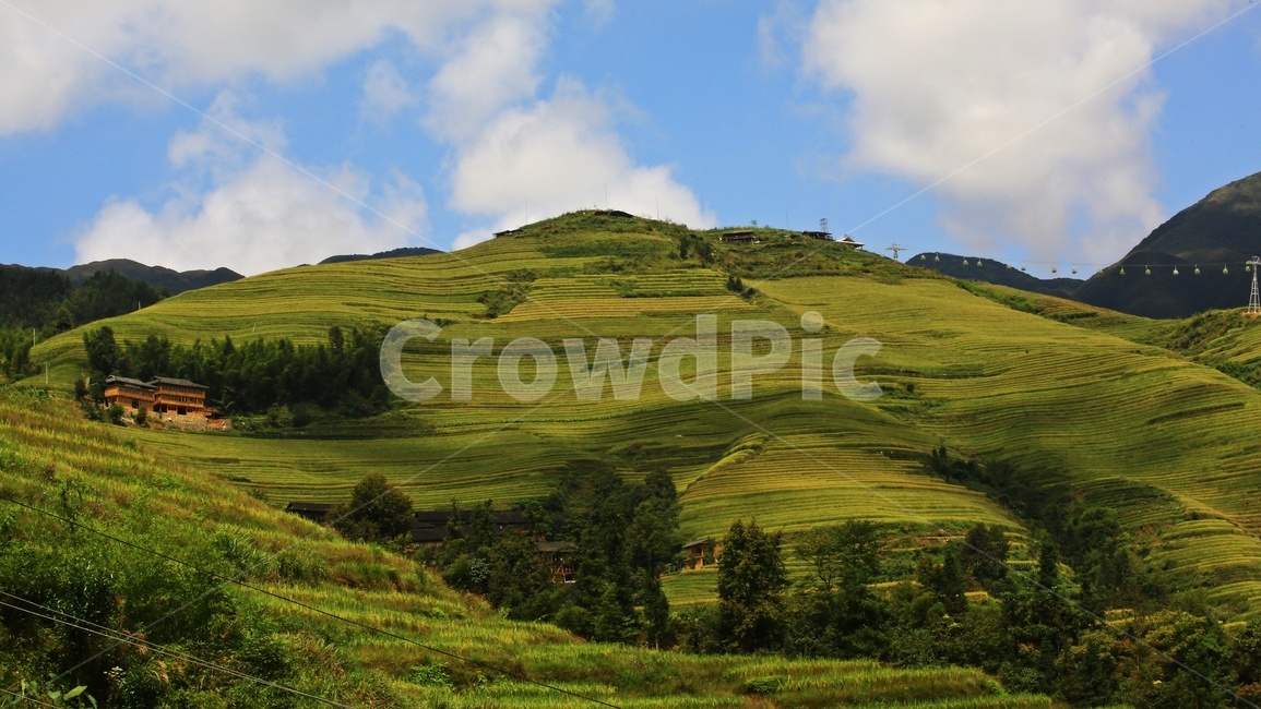 hill,언덕,nature,자연,outdoors,옥외,scenery,풍경,field,landscape,경치,들,중국,계림,금갱,금갱다랭이논,다랭이논,다락논,용척제전,농업,농사,경작,농경지,중국비경,농업,농사,agriculture,farming,farming industry