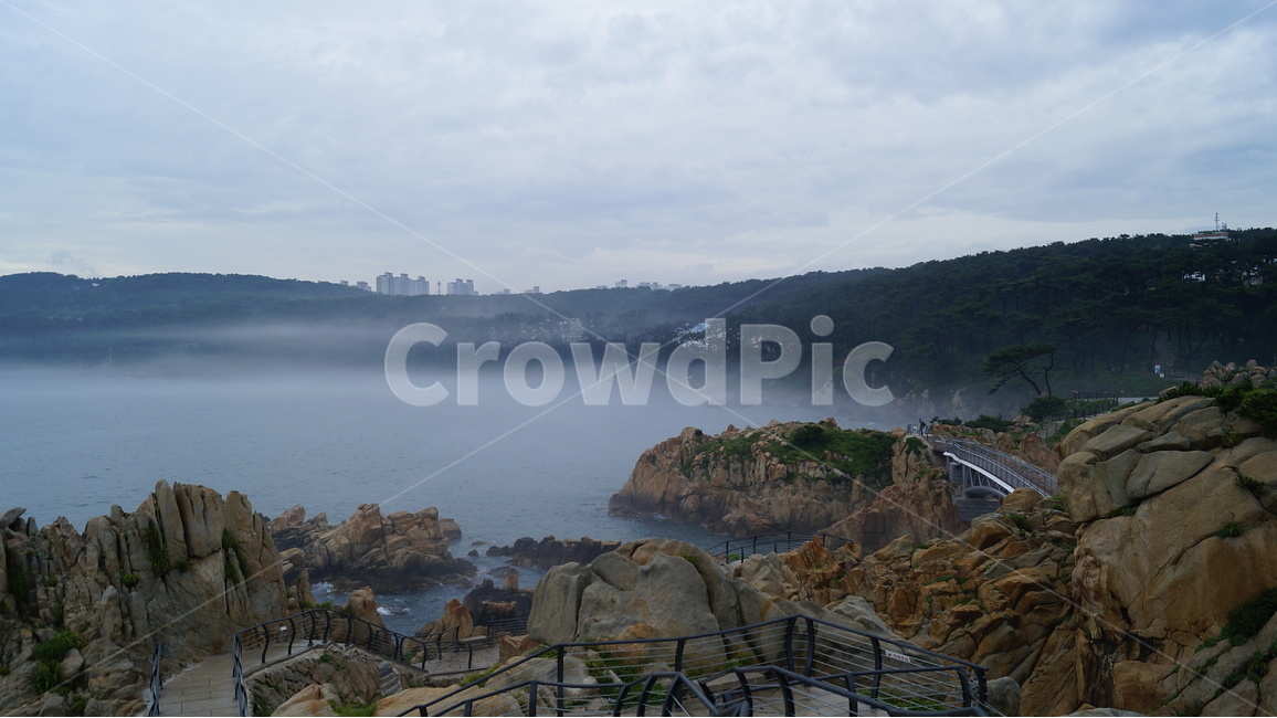 아침,바다,해무,안개,공원,자연,풍경,nature,landscape,한국자연풍경,한국자연경관,korea nature landscape,promontory,곶,outdoors,옥외,scenery