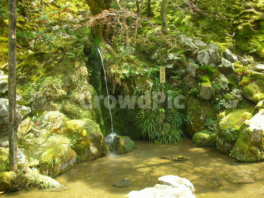 약수터,일본,물,자연,이끼,mineralspring,japan,water,moss,자연,풍경,nature,landscape,outdoors,옥외