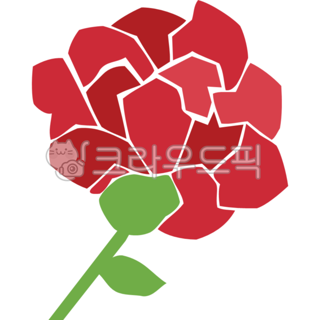 flower,꽃,카네이션,어버이날,가정의달,어버이