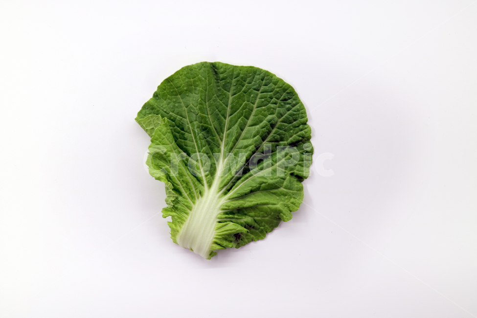 봄동,쌈채소,채소,야채,음식,식품,쌈,싱싱한,신선한,오브젝트,누끼,샐러드,건강,웰빙,다이어트,음식,식재료,요리,food,cook,meal,dishes,food reserves,채소,야채,vegetables,누끼,remove background