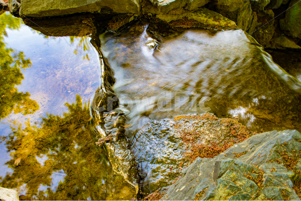 자연,nature,풍경,개울,감성,feeling,장노출,물흐름