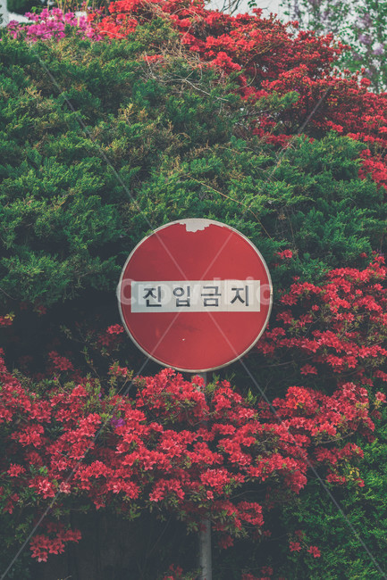 tree,Warning text,Only the cover,No entry,flower