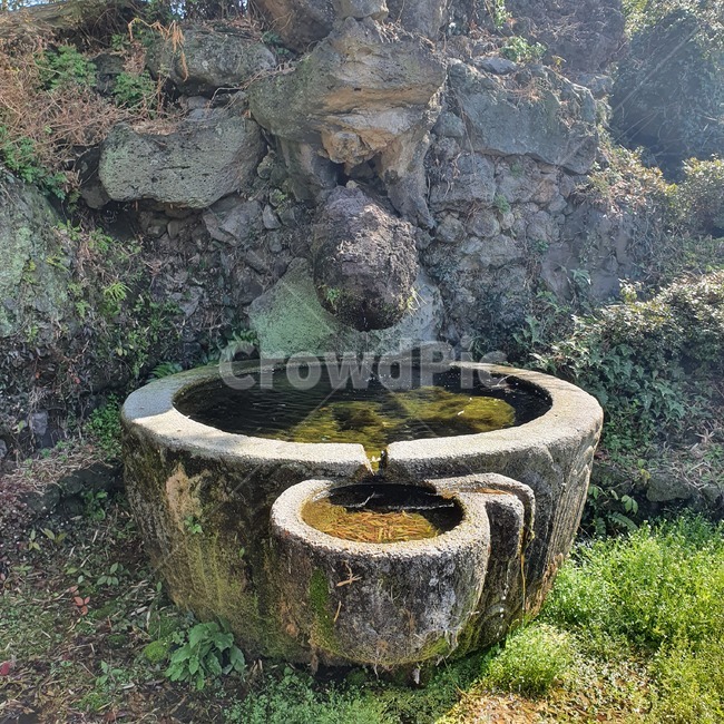 연못,공원,봄,고인물,물