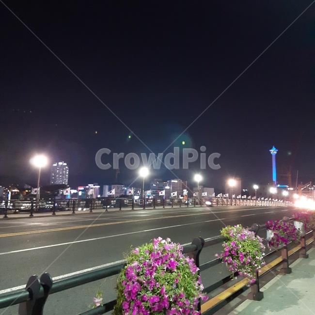 부산,야경,가로등,영도대교,용두산공원,bridge