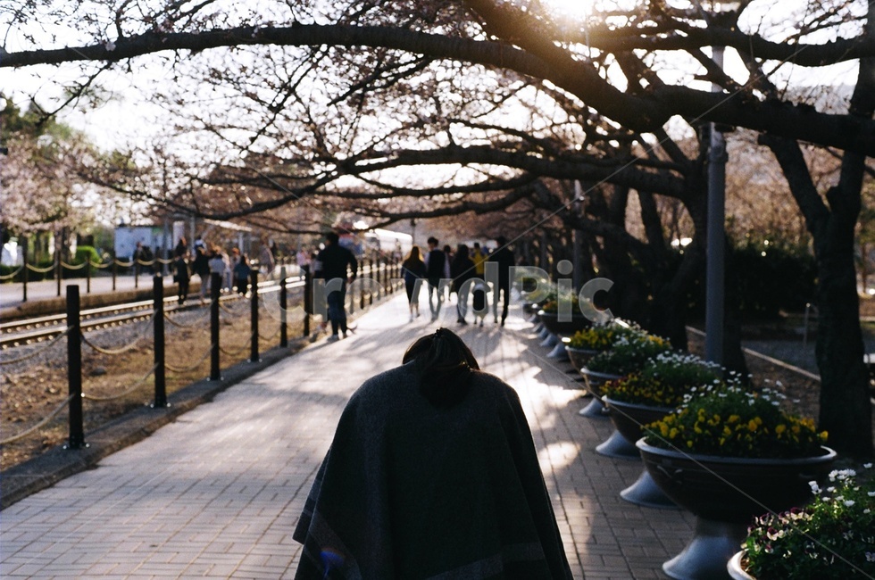 산책,해질녘,엄마의뒷모습,산책,필름카메라