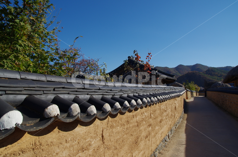 담벼락,하회마을,전통,안동,유네스코,한국전통,한국문화,korean traditional,korean culture,건축물,건물외관,exterior,building,structure,architecture,construction