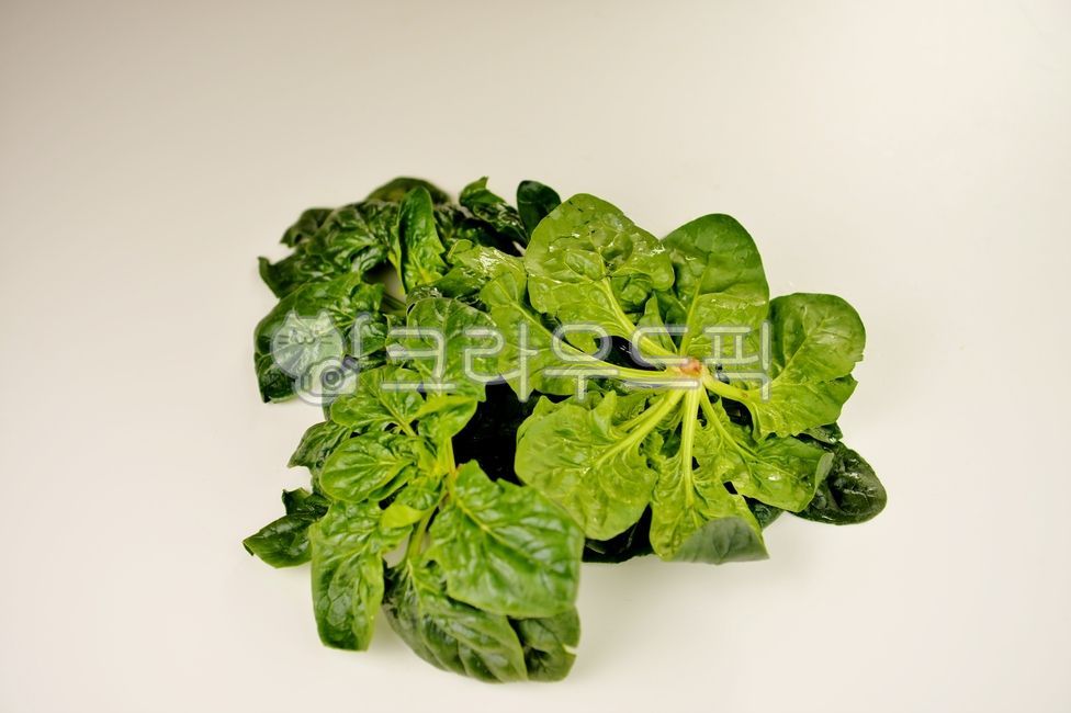 시금치,채소,야채,녹색,식재료,음식재료,신선한,잎,나물,food