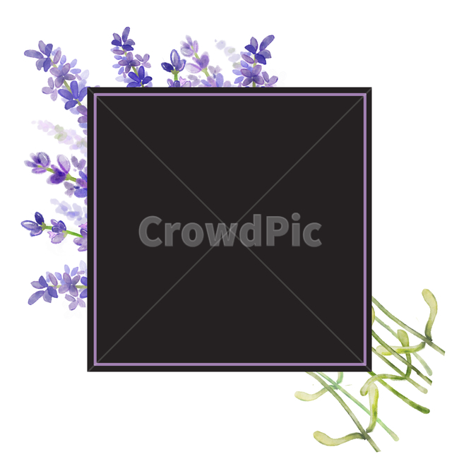 gift,cluster,delicate,Fresh,advanced,shopping mall,sign,discount,spring,drawing,visual,Freshness,vip,lavender,border,natural,edit,invitation,bouquet,Design editor,aromatherapy,background,Watercolor,poster,card,frame,strong,book,perfume,premium,marriage,de