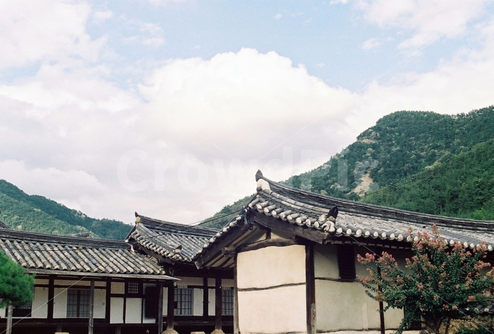 옻골마을,경주최씨종가,한옥마을,필름사진,한옥,시골,마을,풍경,landscape,country,rural,town,한국전통,한국문화,korean traditional,korean culture