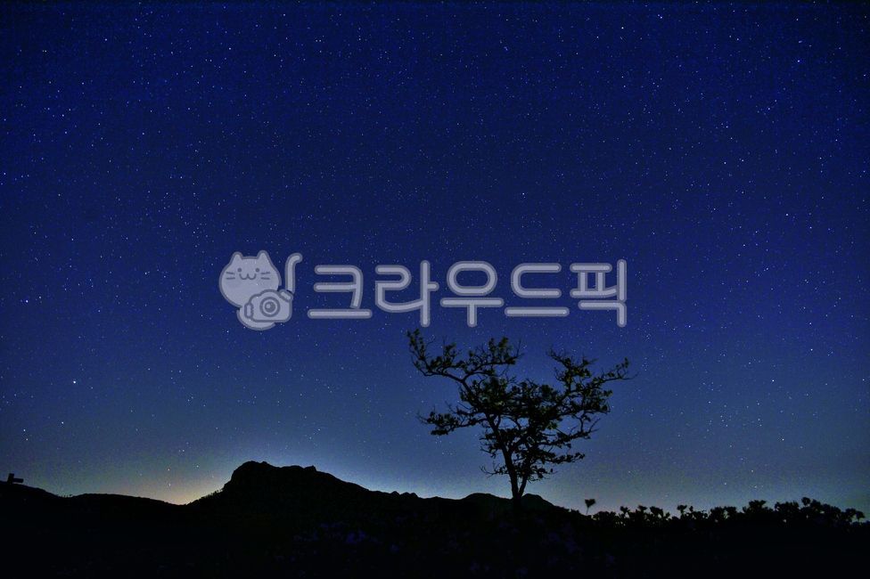 황매산,별밤,은하수,홀로나무,밤하늘별빛,별,왕따나무,식물,자연,산,nature,옥외