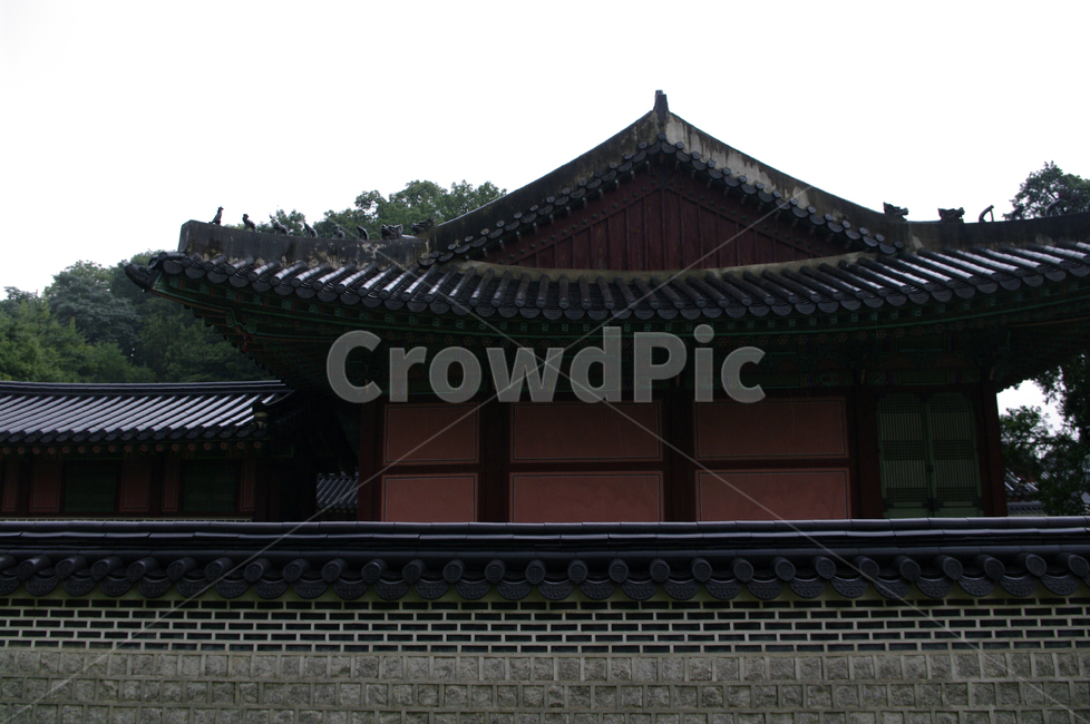 창덕궁,고궁,한옥,전통가옥,기와지붕,건축,traditional,담장,한국전통,한국문화,korean traditional,korean culture,랜드마크,landmark,tourist attraction,한국랜드마크,한국관광지,한국명소,korea landmark,korea tourist attraction,건축물,건물외관,exterior,building,structure,architecture,construction