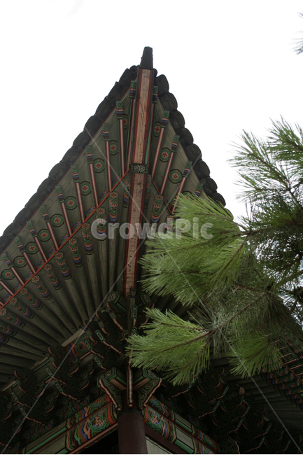 중화문,고궁,덕수궁,궁,단청,문,전통,한국,한국전통,한국문화,korean traditional,korean culture,건축물,건물외관,exterior,building,structure,architecture,construction