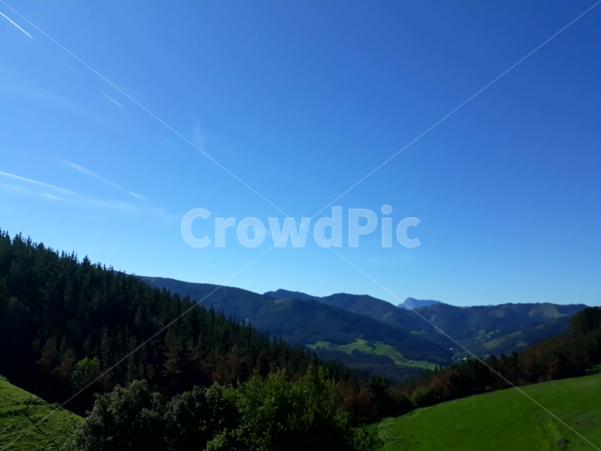 nature,자연,outdoors,옥외,plant,식물,tree,나무,abies,아비,fir,전나무,산티아고순례길,camino,spain,countryside,시골,스페인