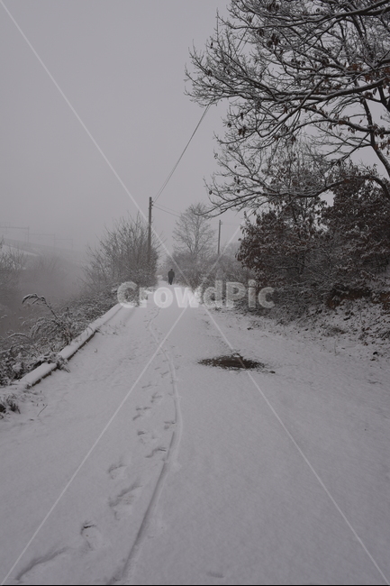 nature,자연,안개,들,겨울,눈,snow,winter,풍경,배경,길,겨울,계절,winter,season,자연,풍경,nature,landscape
