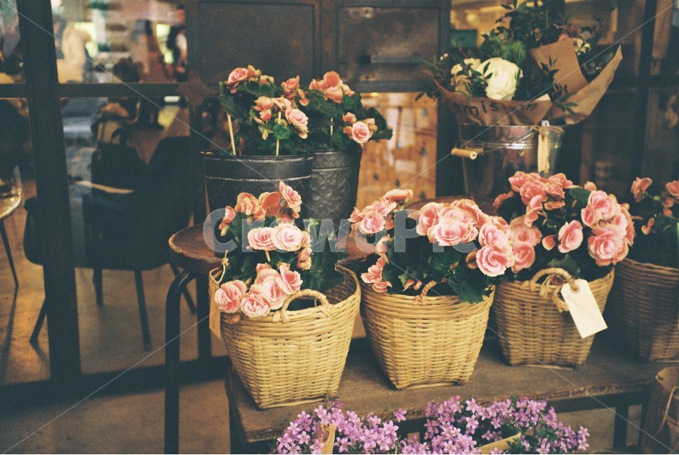 필름사진,감성사진,유럽꽃집,꽃집,카페,flowershop,flower,꽃,flower,감성,sensible,feeling