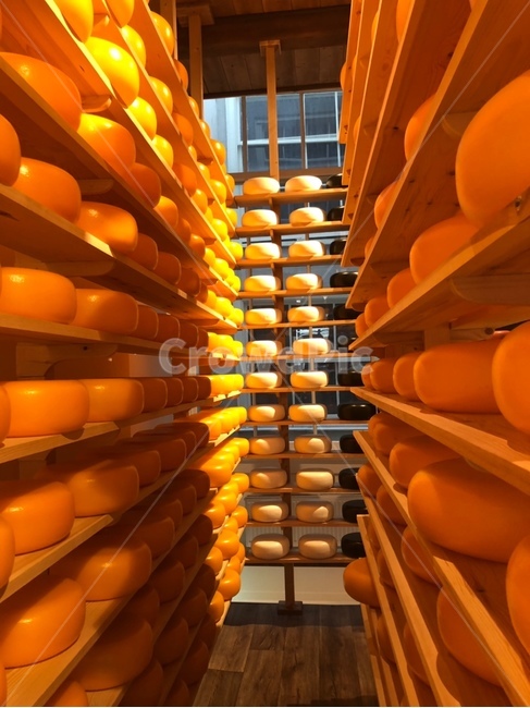 치즈,패턴,네덜란드,노란색,cheeze,yellow