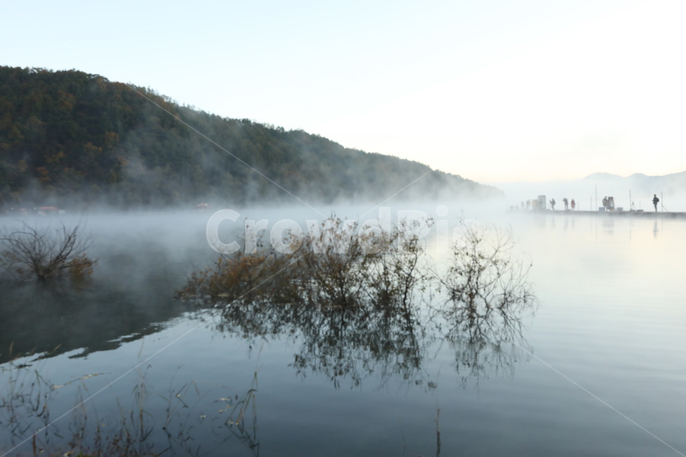 안개,나무,물,지평선,그림자,자연,풍경,nature,landscape,한국자연풍경,한국자연경관,korea nature landscape