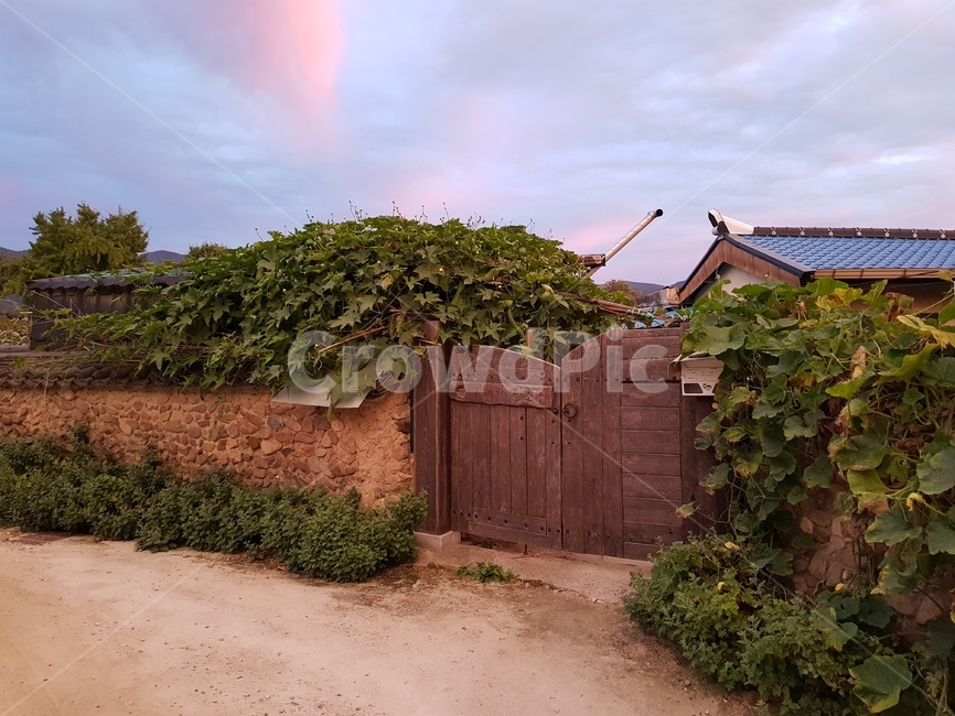 road,Damyang,slow city,evening sky,wall