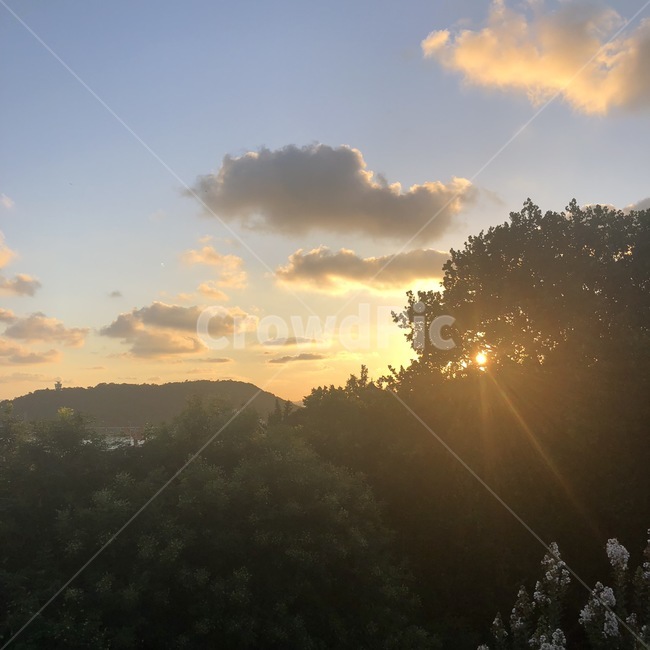 해질녘,노을,sunset,구름,하늘,sky,cloud,나무