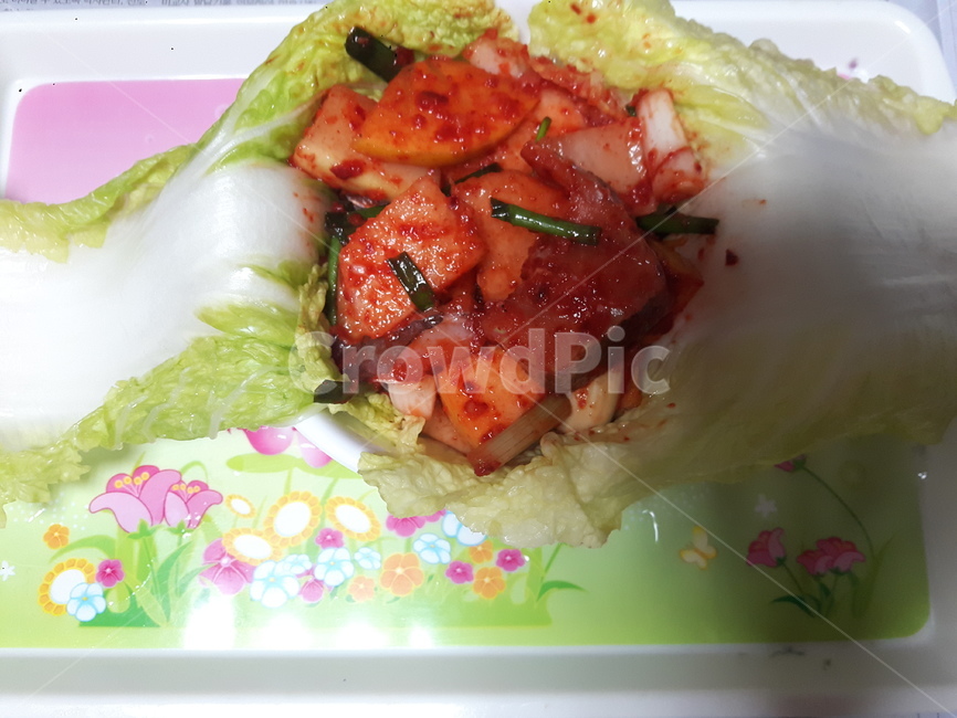 김치,요리,김장,무,배추,레시피,음식,식재료,요리,food,cook,meal,dishes,food reserves,채소,야채,vegetables