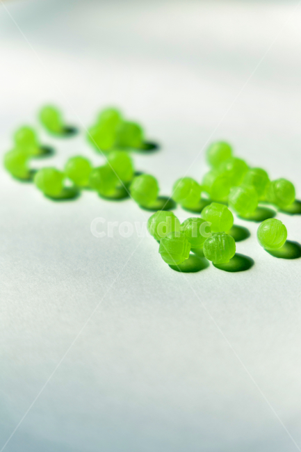 candy,care,green,medicine,mint,pill,pills,sugar,sweet,과자,캔디,사탕,설탕,민트맛,멜론맛,초록색,디저트,간식