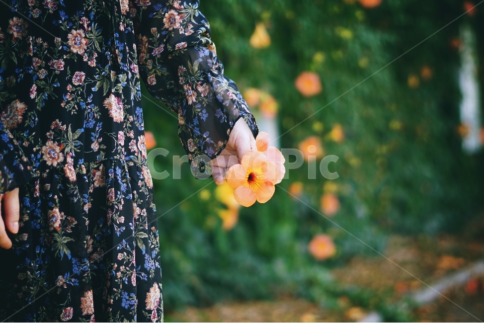 능소화,꽃,감성,인물,자연,원피스,손,감성사진,color,꽃,flower,사람,인물,인간,human,person,신체일부,몸,body,여성,여자,woman,female,lady