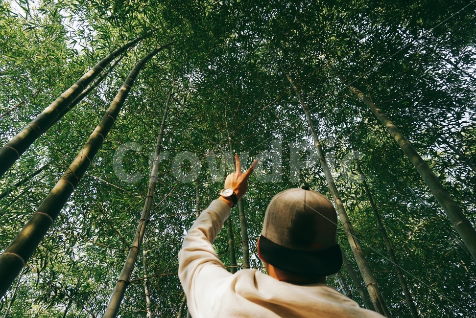 여행,travel,여행사진,국내여행,혼자여행,사진,담양,담양여행,배경사진,배경,이쁜사진,색감,색감좋은사진,죽녹원,뒷모습,뒷모습사진,스냅샷,브이,스냅사진,여행자,여행가,삼각대,삼각대사진,대나무,대나무숲,자연,풍경,nature,landscape,여행,휴가,traveling,vacation,trip,사람,인물,인간,human,person,남성,남자,man,male,감정표현,기분,feeling,emotion,plant,식물
