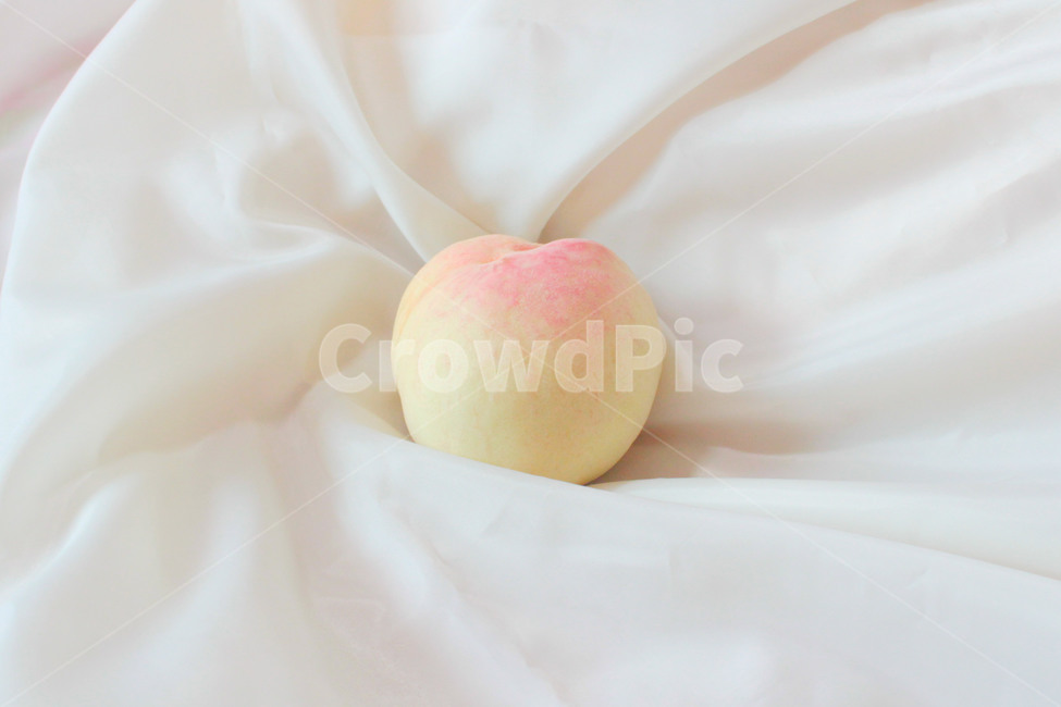 자연,감성사진,과일,복숭아,음식,요리,색감,pink,peach,분홍,연노랑,음식,식재료,요리,food,cook,meal,dishes,food reserves,과일,열매,fruit
