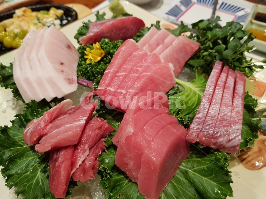Tsukiji Market Tuna Sashimi (츠키지 시장 참치회)