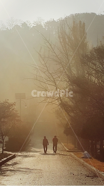 nature,자연,weather,날씨,human,인간,person,사람,outdoors,옥외,fog,안개,가을,아침,자연,풍경,nature,landscape