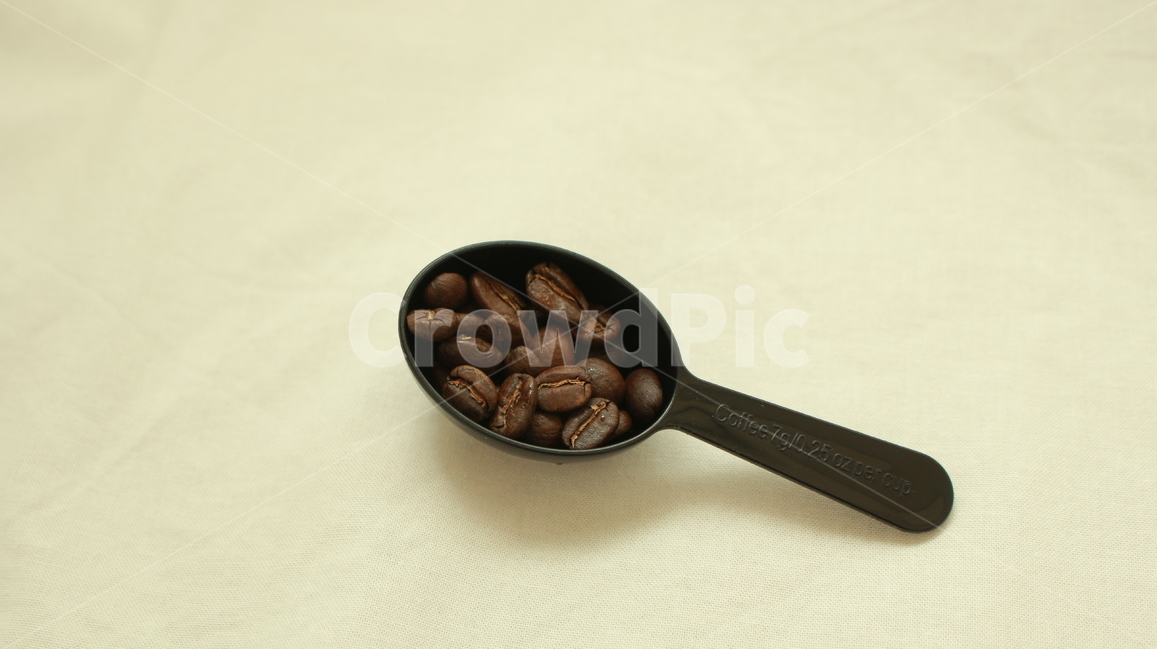 과테말라,커피,원두,생두,음식,커피콩,누끼,음료,볶음,스푼,카페인,자연,계절,갈색,카페coffee,cafe,연출,컨셉,콘셉,커피,카페,coffee,cafe