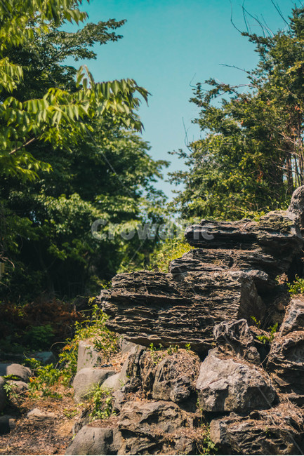 바위,자연,rock,stone,nature,봄,spring,자연,풍경,nature,landscape