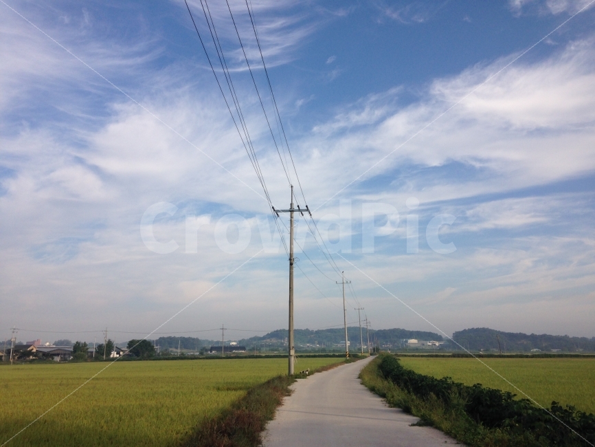 시골,자연,벼,농사,가을,하늘,가을하늘,쌀,자연,풍경,nature,landscape,시골,마을,country,rural,town,construction crane,건설 크레인