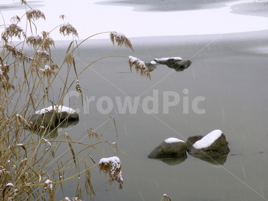 설경,눈내리는날,겨울풍경,갈대,호숫가,바위,물가,강변,snow,ice,landscape,plants,들풀,인적없는,포코에세이,물,water,돌,힐링,하얀,백색,눈부신,산행,시안,사보,카다로그,브로셔,뉴스레터,자료,기사,출판,편집,콘텐츠,전단,느낌,잡지,광고,단행본,환경,sns,포스터,홍보용,원고,ebook,winter,road,시즌,season,야외,자연,식물,투명한,모바일,배경,백그라운드,감성,필링,분위기,눈밭,추억,낭만,여행,12월,background,갈대밭,풍경,그림같은,수묵화,동양적,한국적,첫눈,겨울,계절,winter,season,자연,풍경,nature,landscape,한국자연풍경,한국자연경관,korea nature landscape,plant,grass,잔디,lawn