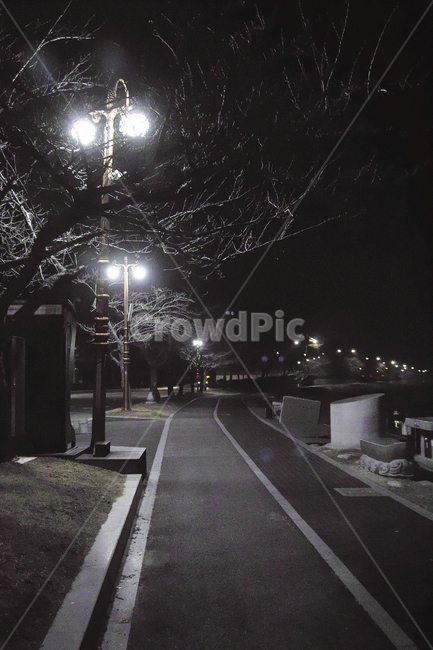 가로등길,경포호수,야간산책로,강릉경포호수길,조용한산책로,야경,밤,풍경,nightscape,night,landscape,asphalt,아스팔트