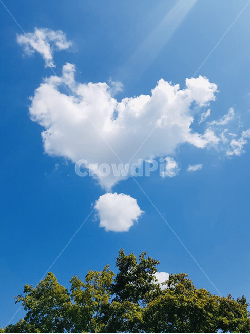 하트,하트구름,하늘,맑음,cloud,heart,자연,풍경,nature,landscape,outdoors,옥외,azure sky,푸른 하늘,sky