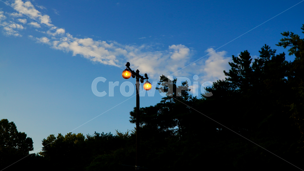 새벽,하늘,가로등,구름,도시,아침,dawn,sky,streetlamp,clouds,morning