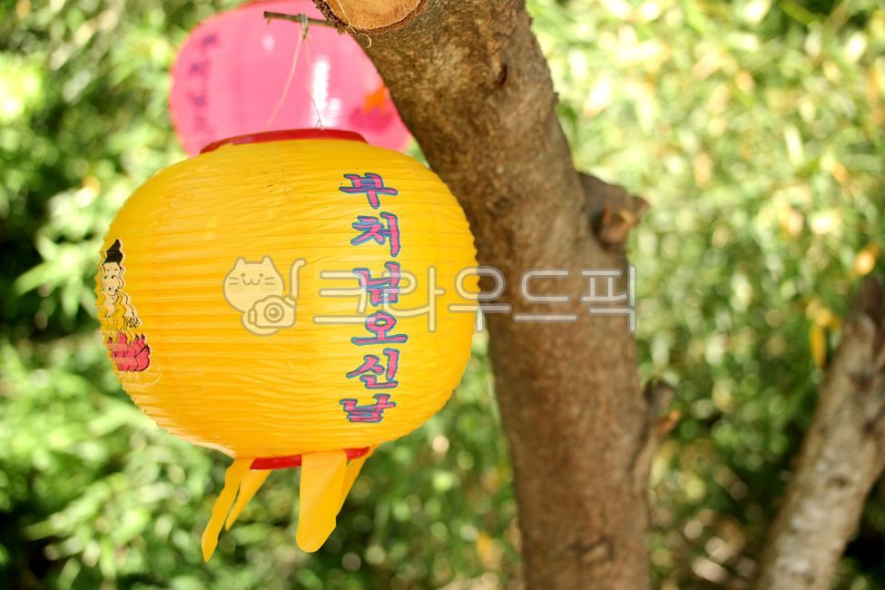 등,부처님오신날,자연,풍경,배경,경치,부처님,휴일,달력,등불,석가,석가탄신일