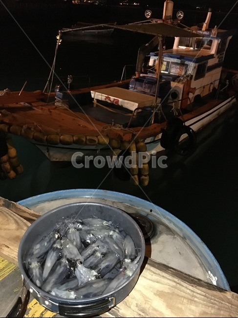 오징어,낚시,배,바다,밤바다,어업,fishery,fishing industry