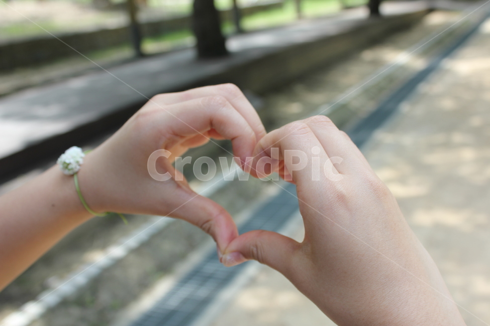 손,하트,human,인간,person,사람,신체일부,몸,body