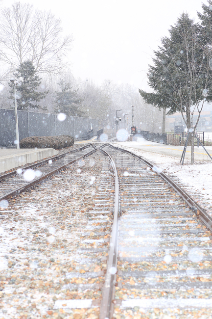 겨울,눈,기차,기차역,화랑대폐역,선로,winter,snow,train,station,railroad,겨울,계절,winter,season,감성,sensible,feeling,교통,교통수단,traffic,transportation