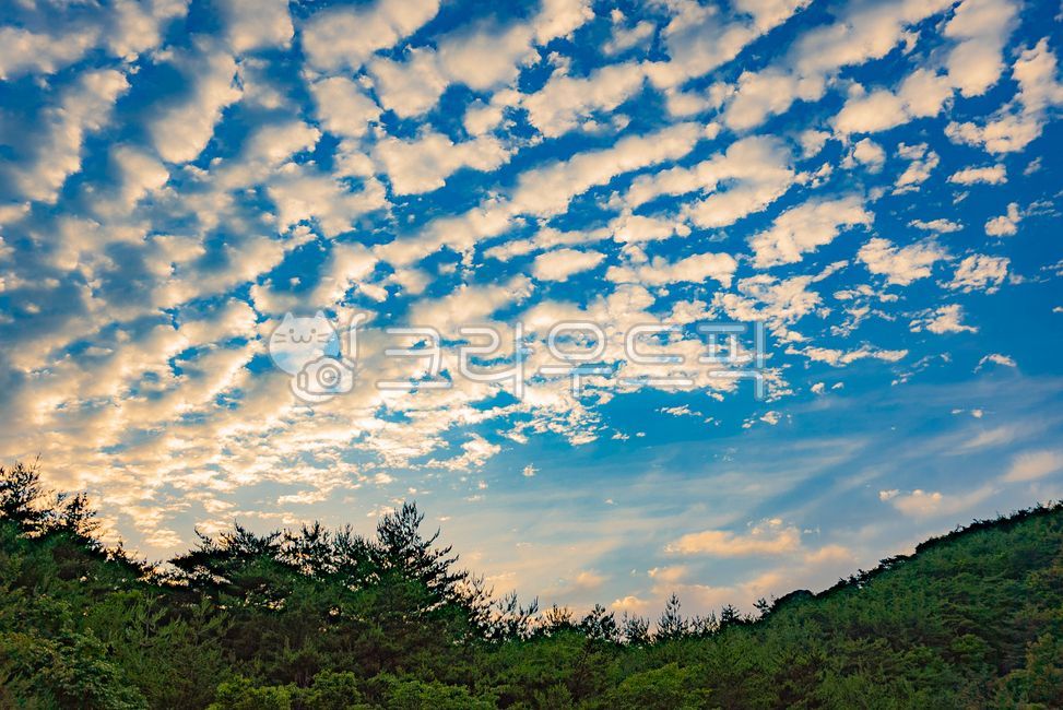 양떼구름,구름,고적운,altocumulus,노을,하늘,sky,altocumuluscloud,산,속리산,능선,자연,nature,outdoors,황혼,저녁노을,저녁놀