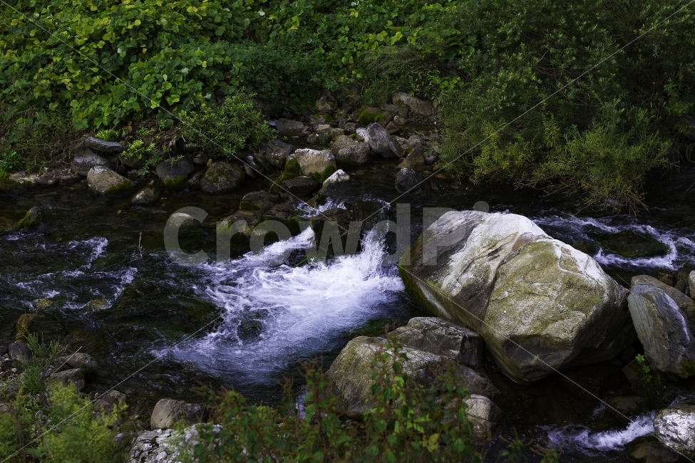 계곡,가을,장노출,물,여행,자연,풍경,nature,landscape,water,outdoors,옥외,stream,흐름,creek,작은 만