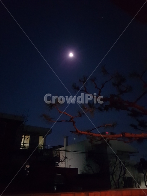 보름달,정월대보름,서울,밤하늘,주택,야경,밤,풍경,nightscape,night,landscape,도시,city,한국도시풍경,한국도시경관,korea cityscape,nature,자연,outdoors,옥외