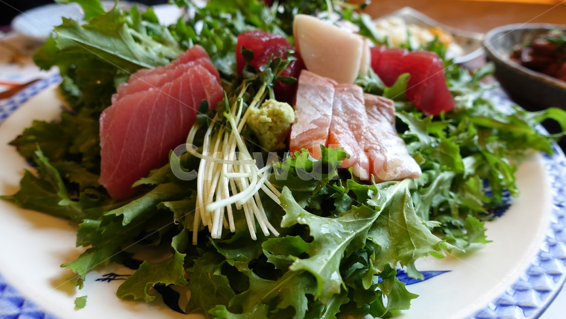음식,food,meal,dish,식사,회,사시미,sashimi,rawfish,fish