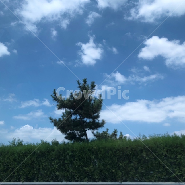 시골,구름,초원,논,시골풍경,자연,풍경,nature,landscape,outdoors,옥외,weather,날씨